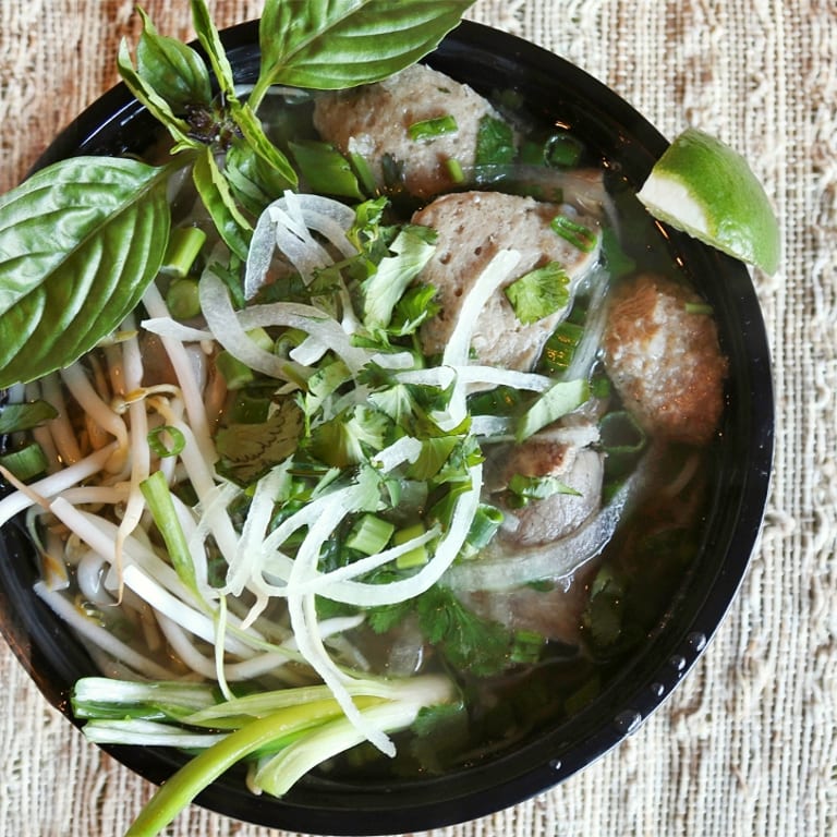 Dumplings Delight: A Taste of Asia